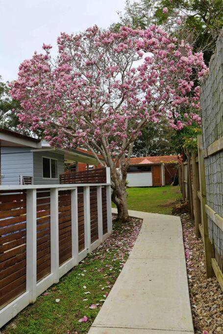 Magnolia Cottage Coffs Harbour Eksteriør bilde